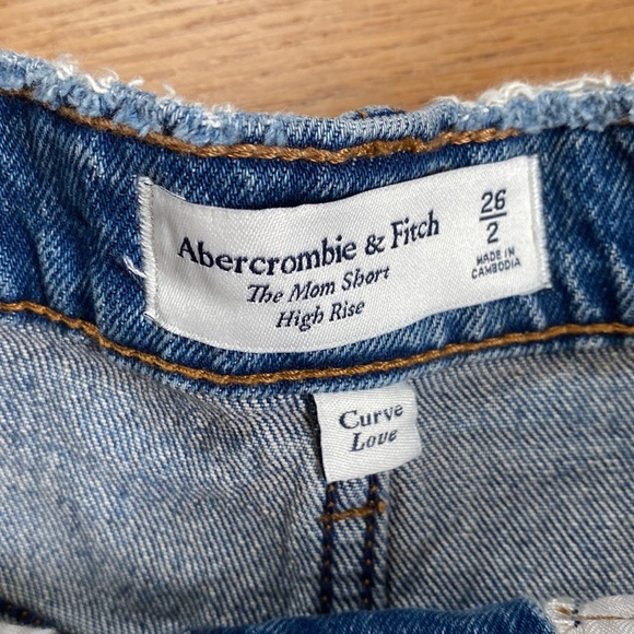 NWT Abercrombie and Fitch Curve Love Mom Shorts Size 26 - Picture 4 of 4